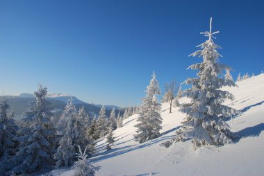 Beyaz hillside.