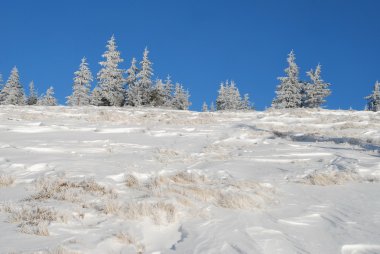 Beyaz hillside.