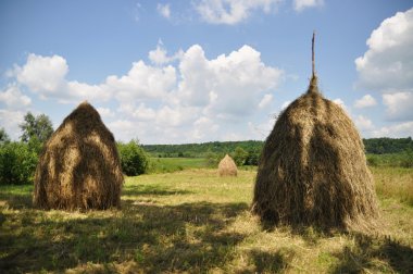 Hay in stacks. clipart