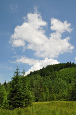 Woody hill under clouds.