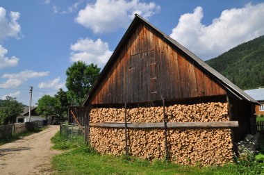 Shed with fire wood.