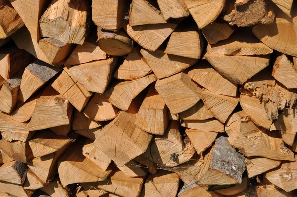 Буковые дрова . — стоковое фото