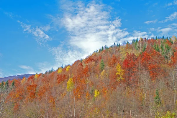 秋の丘. — ストック写真