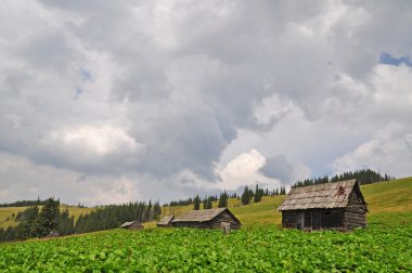 bir tepe üzerinde.