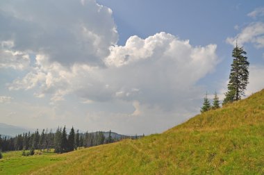 bir tepe üzerinde izlemek.