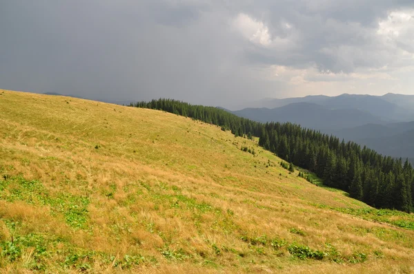 Mountain summer slope before a rain. — Stok fotoğraf