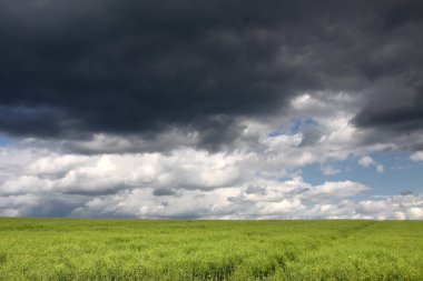 yeşil alan ve fırtına bulutları