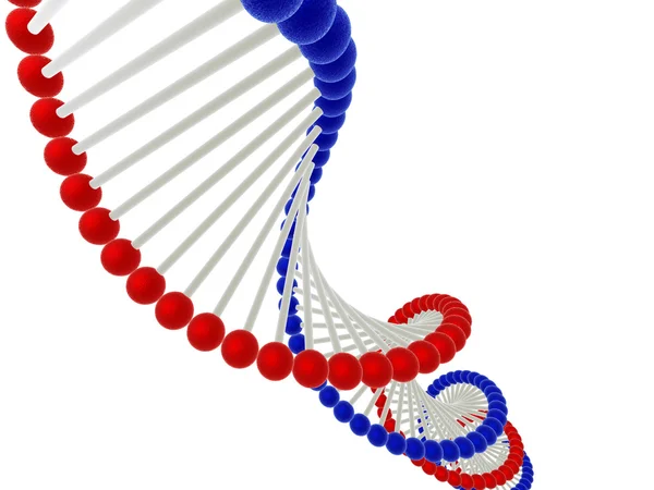 ДНК — стоковое фото