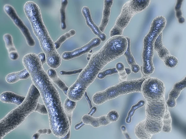 Bacterii — Fotografie, imagine de stoc