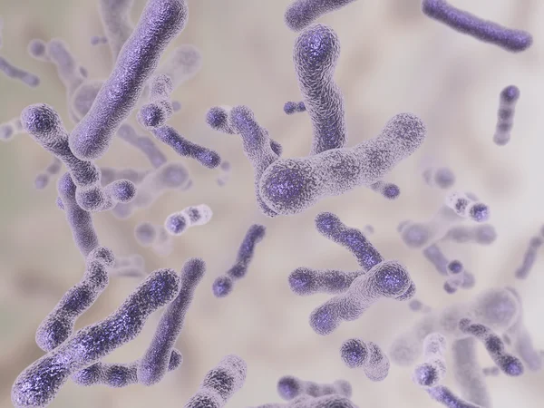 Бактерии — стоковое фото