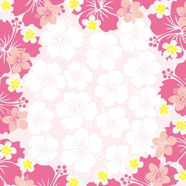 Cadre Hibiscus — Image vectorielle