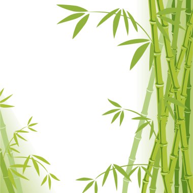 Bamboo background clipart