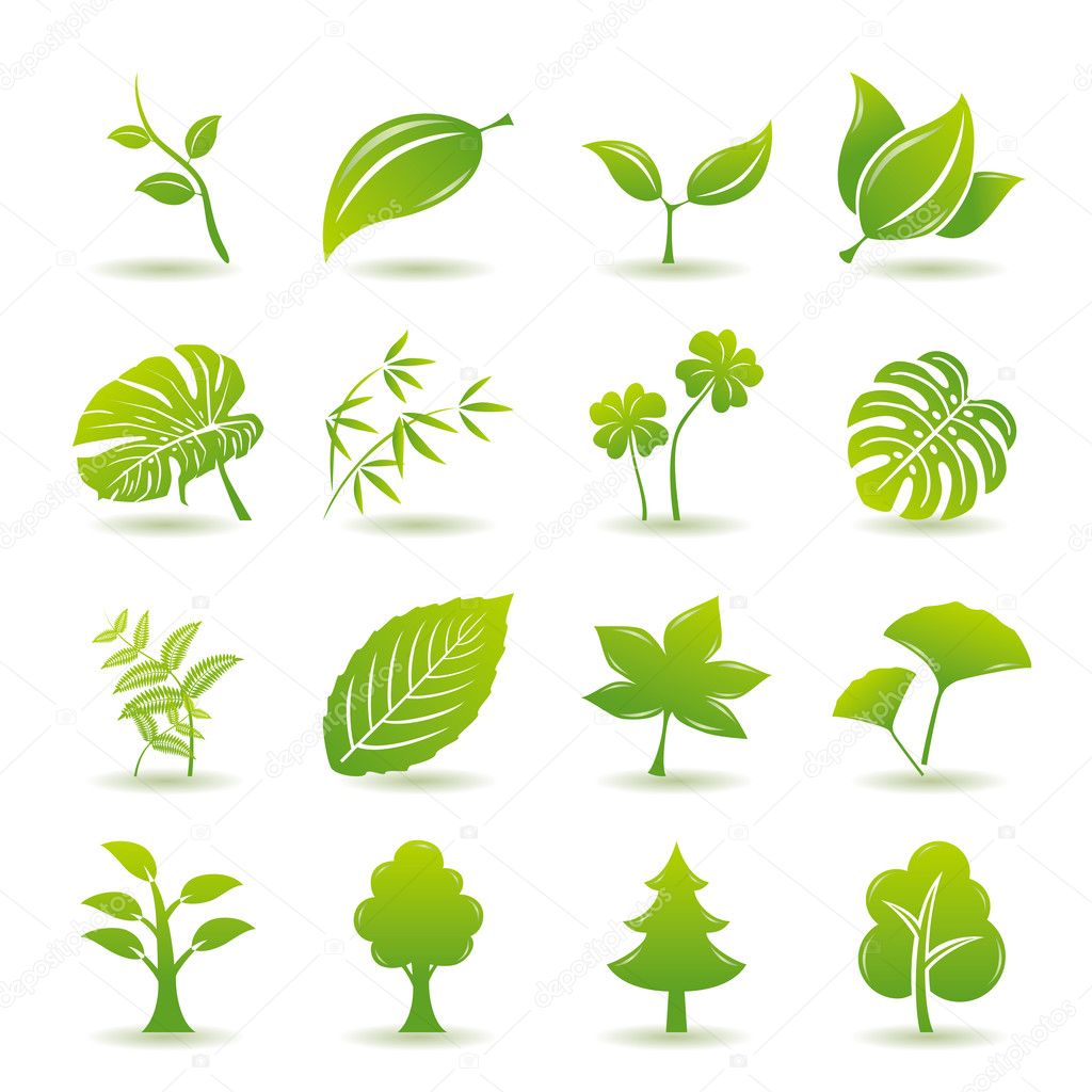 Green leaf icons set