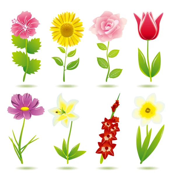 Sada 8 květin ikony — Stockový vektor
