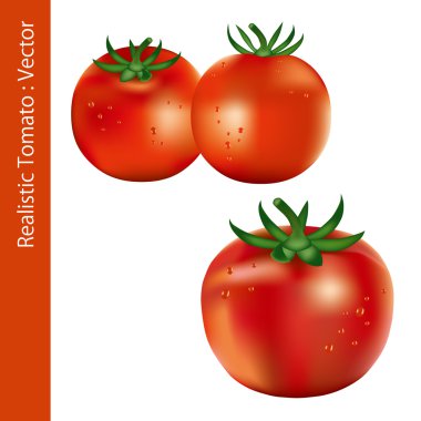 Realistic Tomato clipart