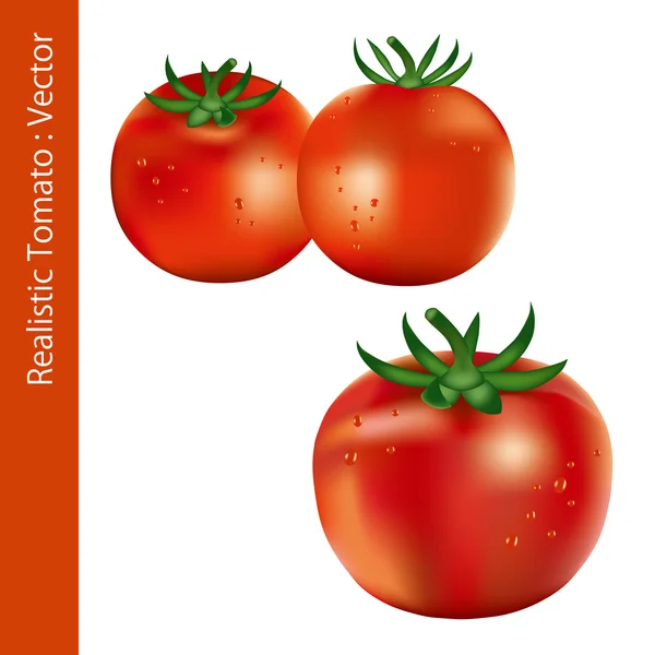 Реалистичный помидор — стоковый вектор