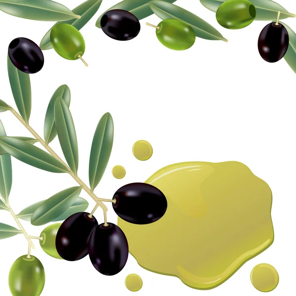 Tle realistyczne oliwy z oliwek — Wektor stockowy