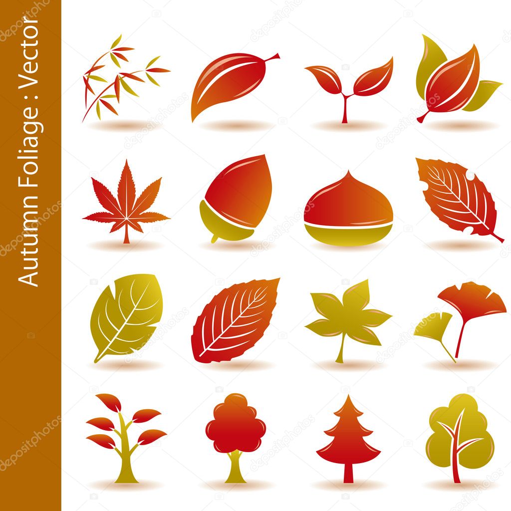 Autumn foliage leaf icons set