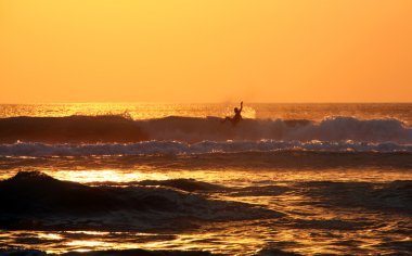 Sunset Surfer