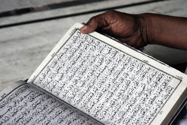 Läsa Koranen Royaltyfria Stockbilder