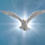 Holy Spirit — Stock Photo © Zatletic #2696999