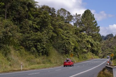 Road in New Zealand clipart