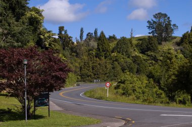 Road in New Zealand clipart