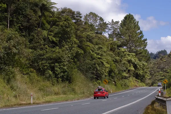 Carretera en Nueva Zelanda —  Fotos de Stock