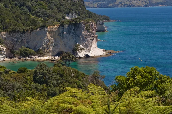 CATHEDRAL COVE — Stock Photo, Image