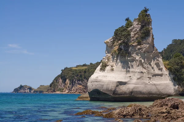 Cathedral Cove — Stock fotografie