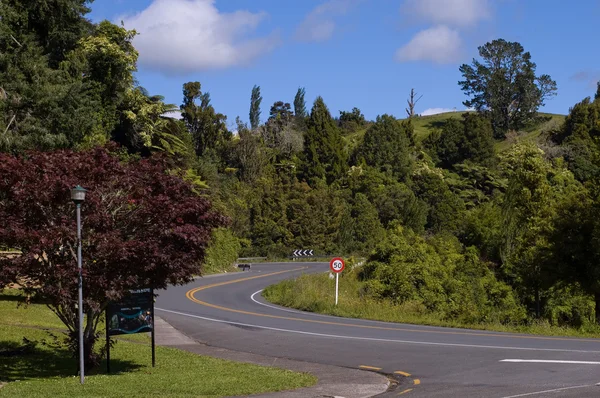 Дорога в Новой Зеландии — стоковое фото