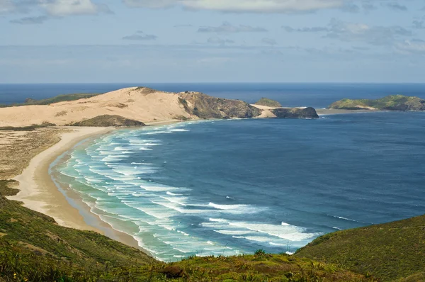 Strand in de buurt van Kaap reinga, Nieuw-Zeeland Rechtenvrije Stockfoto's
