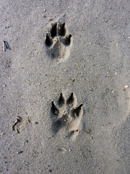 stock image Footprints