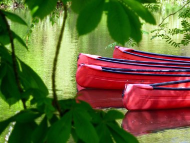 Kayaks clipart