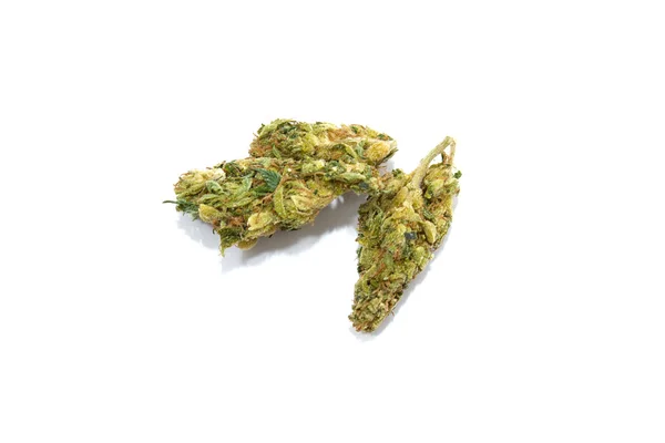 Fresh medical marijuana — Stock Photo, Image