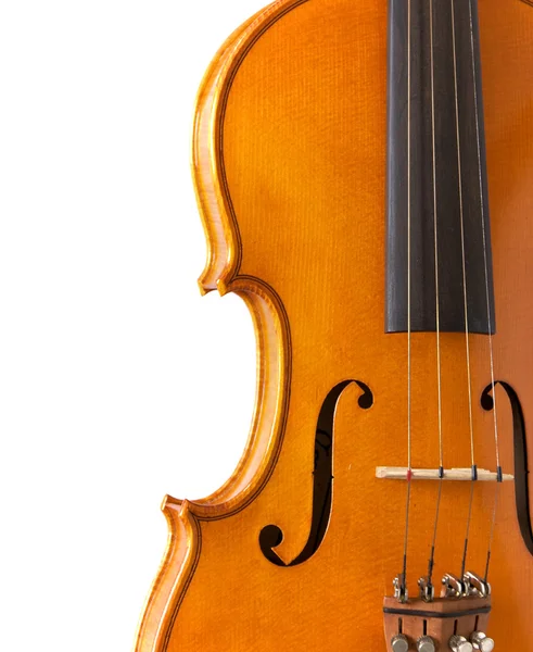 Cuerpo de violín con espacio para copiar — Foto de Stock
