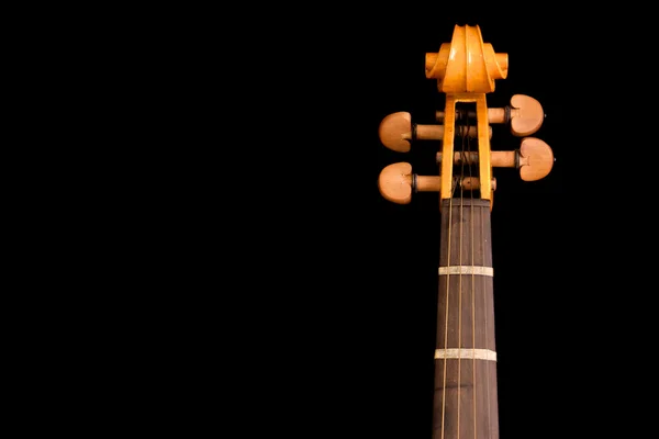 Деталь шеи и свиток скрипки — стоковое фото