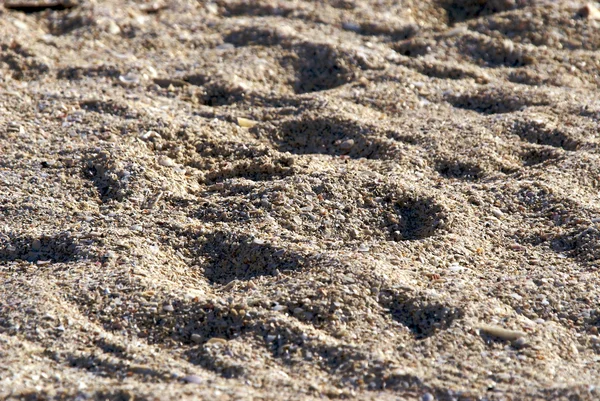 Морской и песчаный фон — стоковое фото