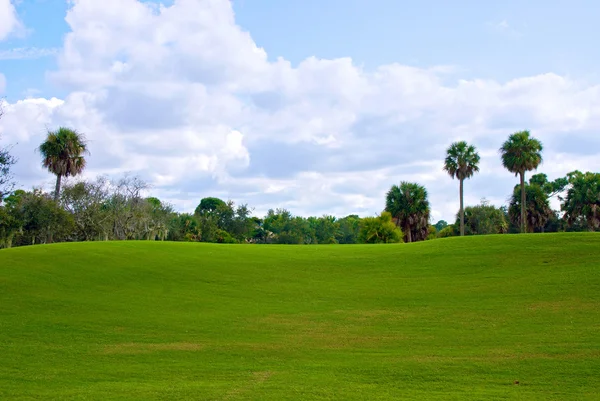 Hügel des Golfplatzes grün — Stockfoto