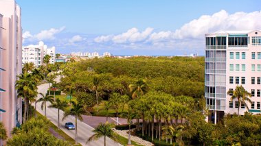 Skyline view of florida clipart