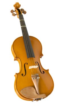 Violin on white clipart