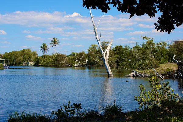 Blick auf Kanal in Bonita-Quellen Florida — Stockfoto