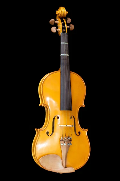 Violin on black — Stock Photo, Image