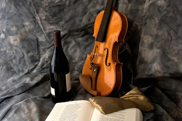 Víno a housle — Stock fotografie