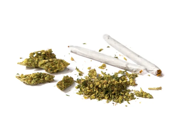 Leczniczych marihuany — Zdjęcie stockowe