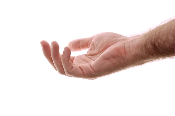 Мужская рука и предплечье изолированы на белом — стоковое фото