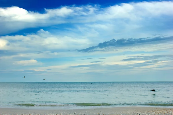 Pelícanos sobrevolando el golfo por la mañana — Foto de Stock