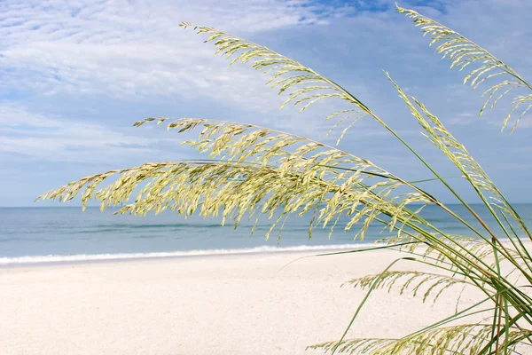 Bonita beach in the morning — Stock Photo, Image
