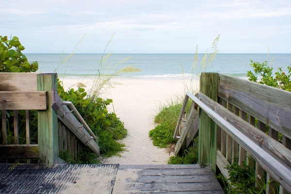 Puinen kävelytie johtaa rannalle — kuvapankkivalokuva
