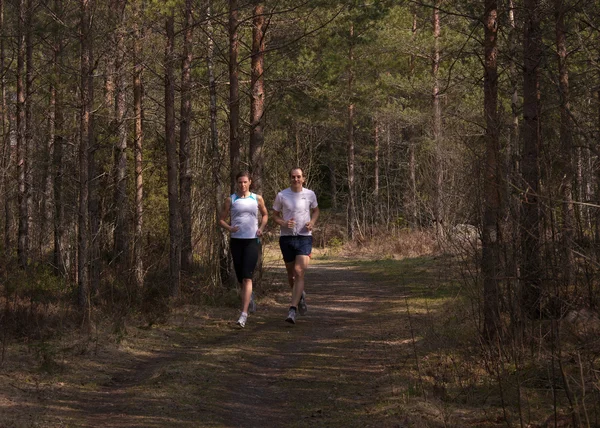 stock image Running the trail